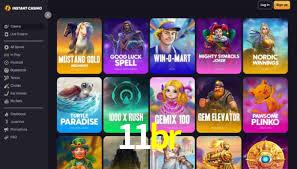 Premium Interface 11br